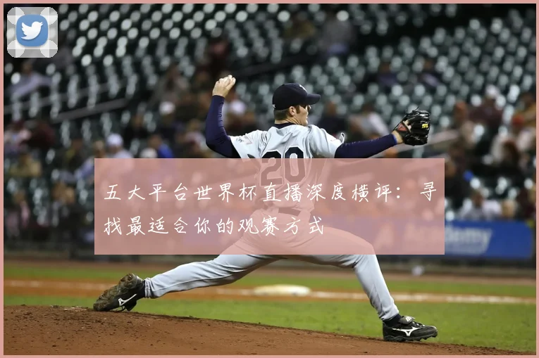 五大平台世界杯直播深度横评：寻找最适合你的观赛方式