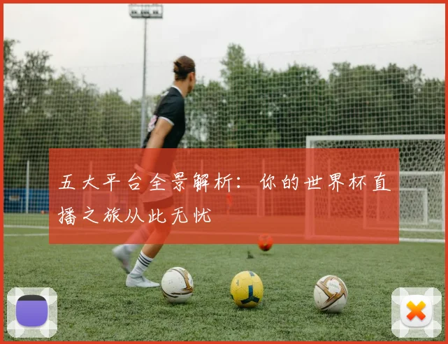 五大平台全景解析：你的世界杯直播之旅从此无忧
