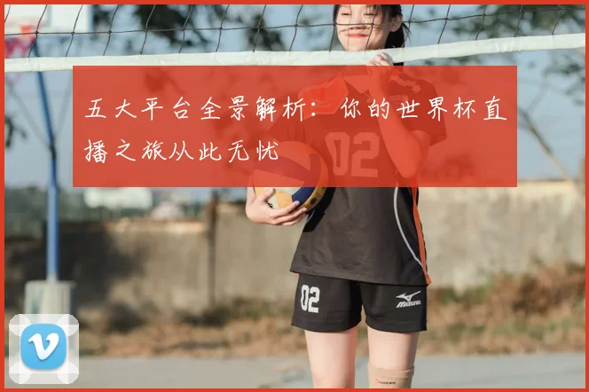 五大平台全景解析：你的世界杯直播之旅从此无忧